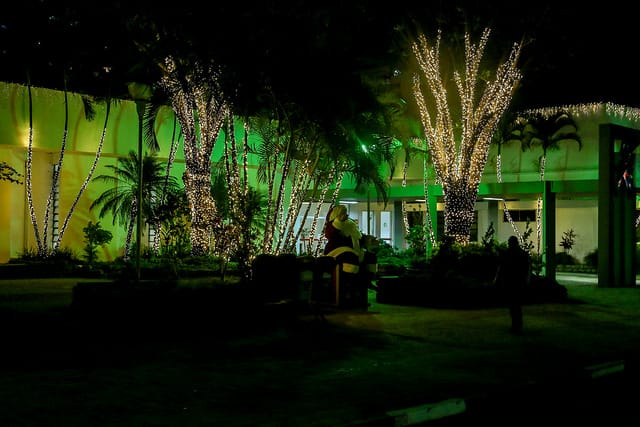 Natal