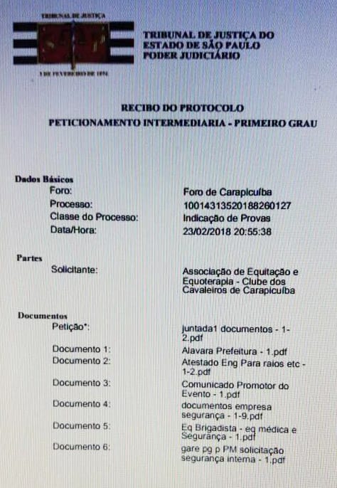 Protocolo de entrega dos documentos na Justiça: 5 minutos antes da abertura dos portões. Foto: Reprodução