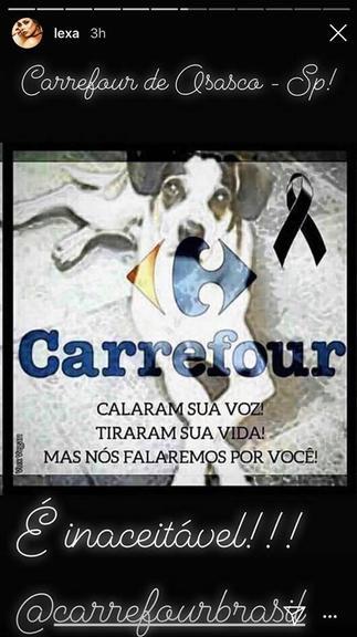 cachorro carrefour
