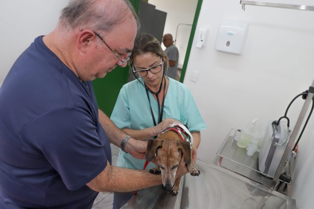 hospital veterinário osasco