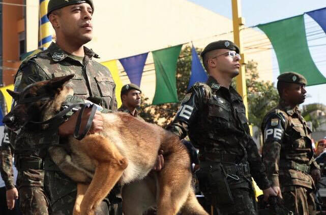 soldado cachorro osasco