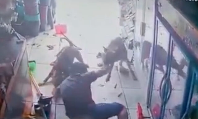 cachorro ataca pessoas em Osasco