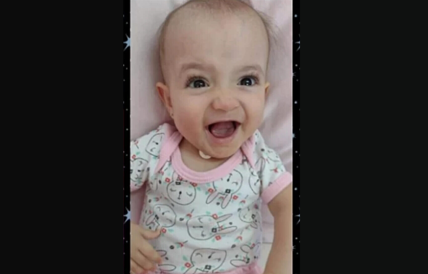vaquinha bebê de cotia
