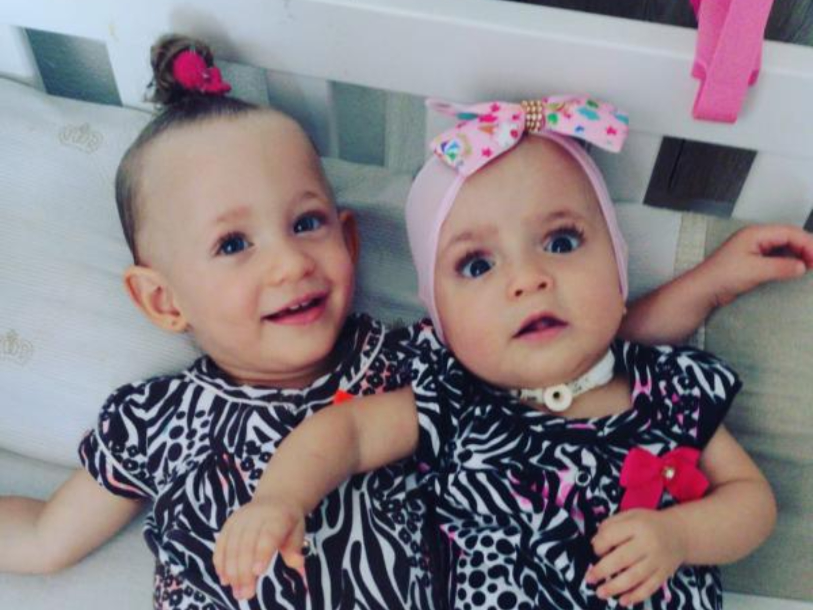 ayla e allana bebê de cotia