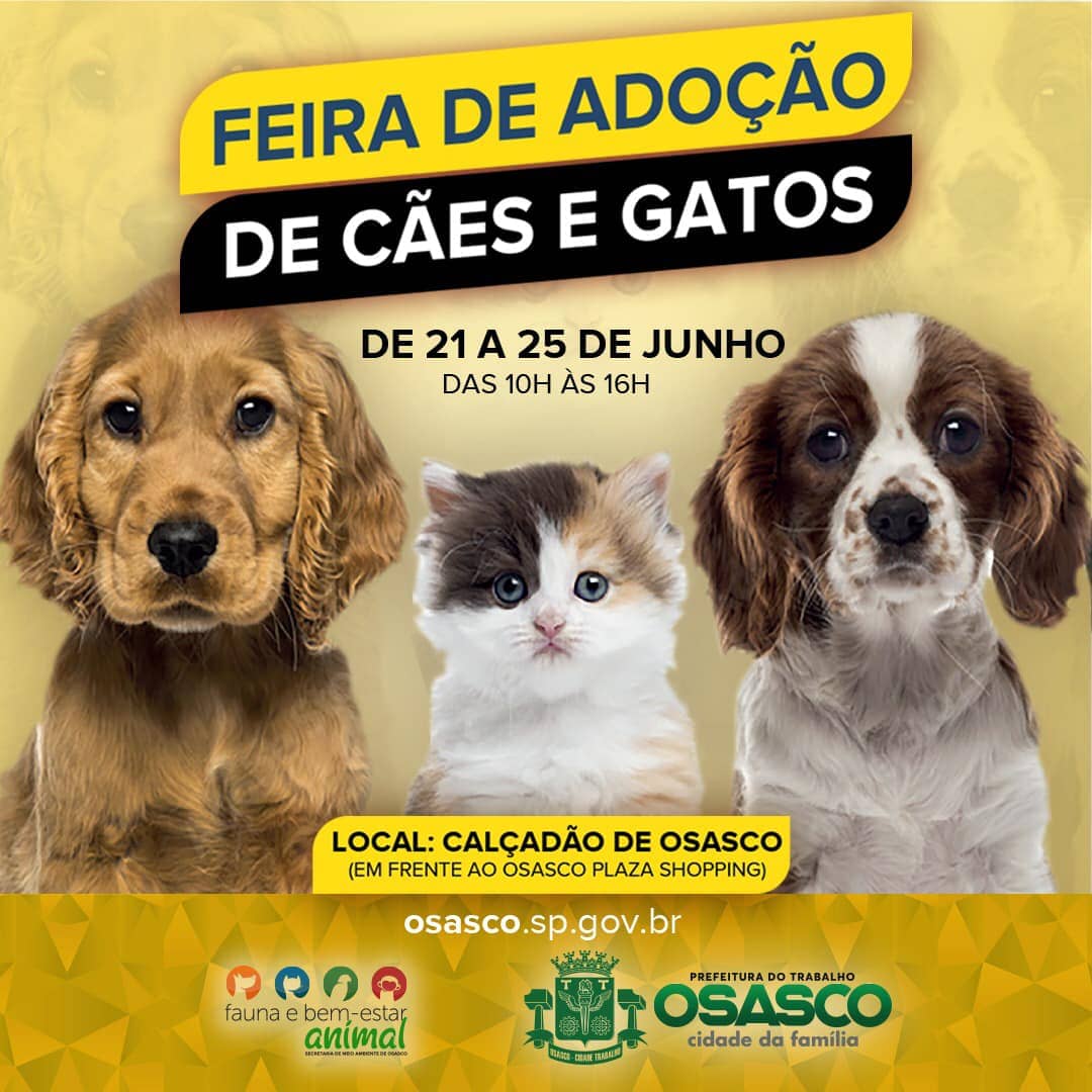 feira de adoção cães e gatos osasco (2)