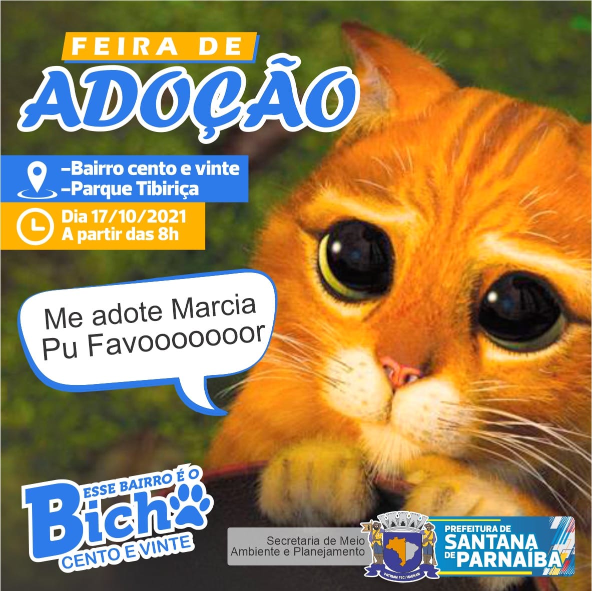 feira de adoção cães e gatos santana de parnaíba