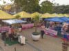 feira da mulher empreendedora santana de parnaíba
