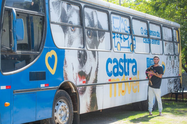castração itapevi