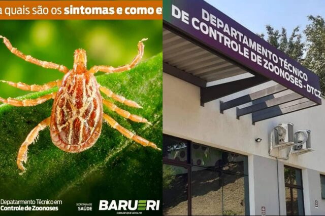 febre maculosa alerta barueri(1) febre maculosa alerta barueri