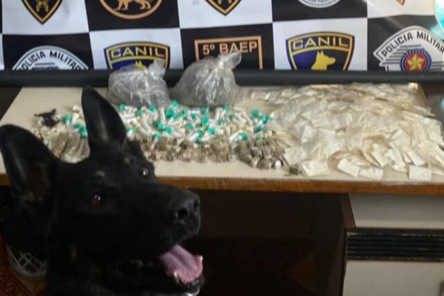 cao baep drogas jaguaribe osasco