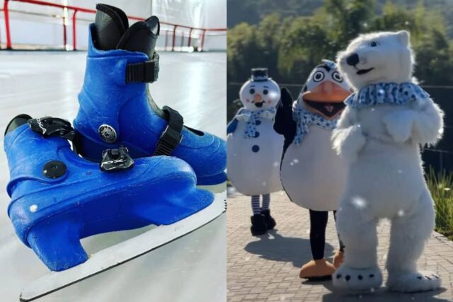 patinacao no gelo sao roque
