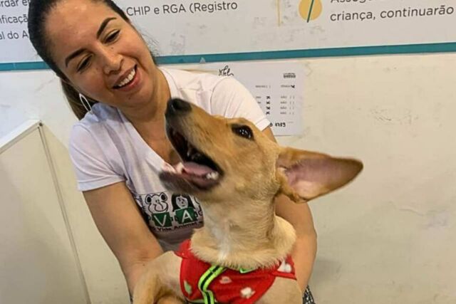 feira de adoção de pets continental shopping