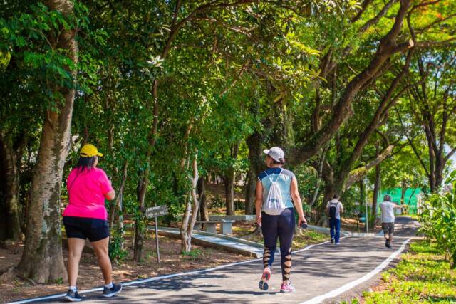 parque ecológico borboletário zona norte osasco (1)
