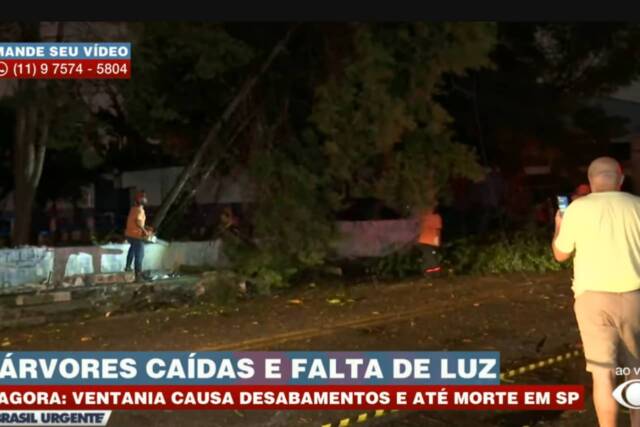 temporal queda de arvores morte osasco são paulo (1) temporal queda de arvores morte osasco são paulo (1)