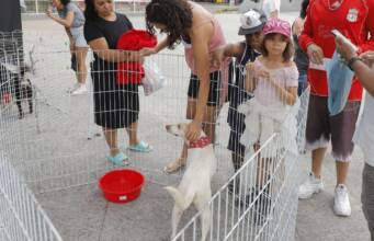 feira de adoção de pets parque de barueri (1)