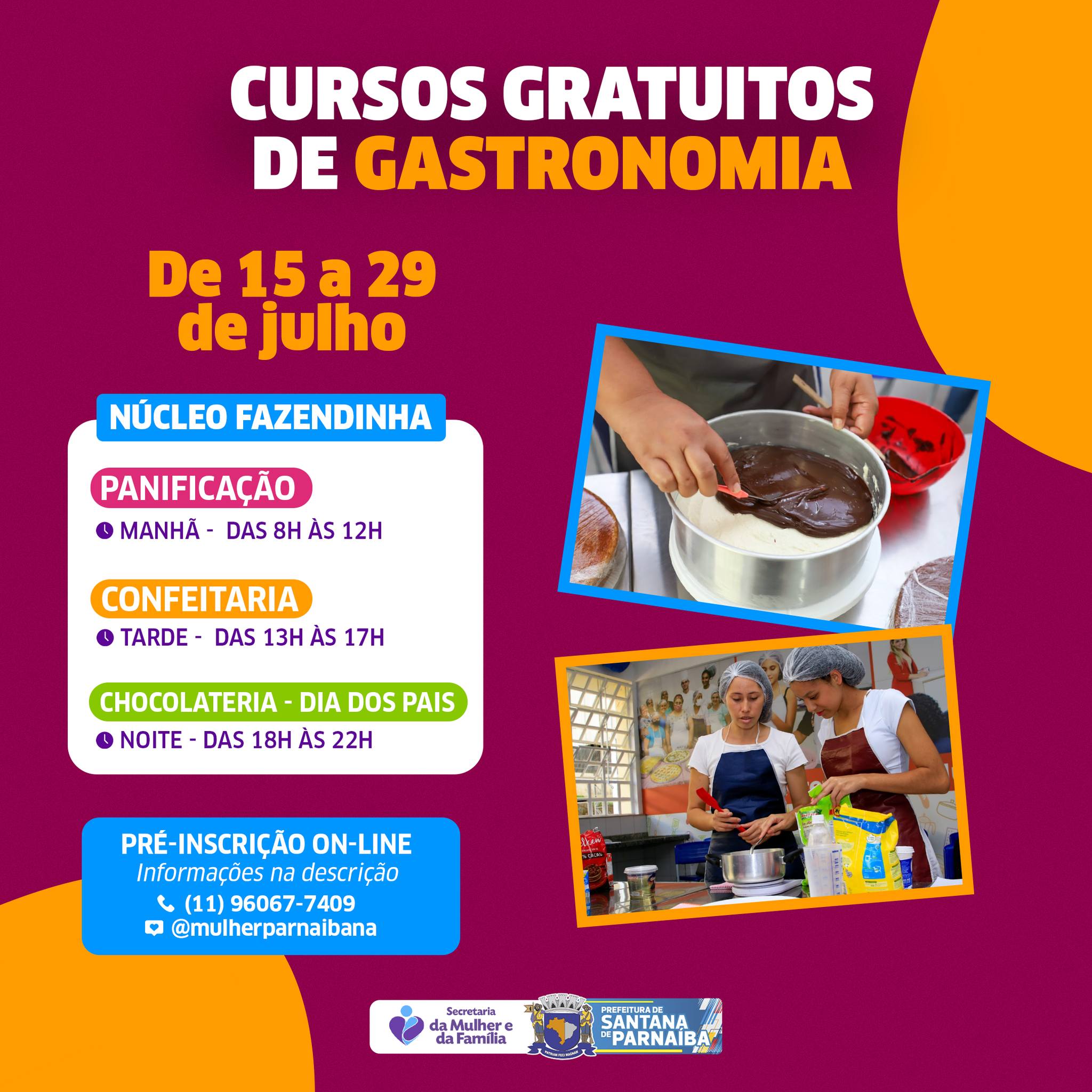 cursos santana de parnaíba